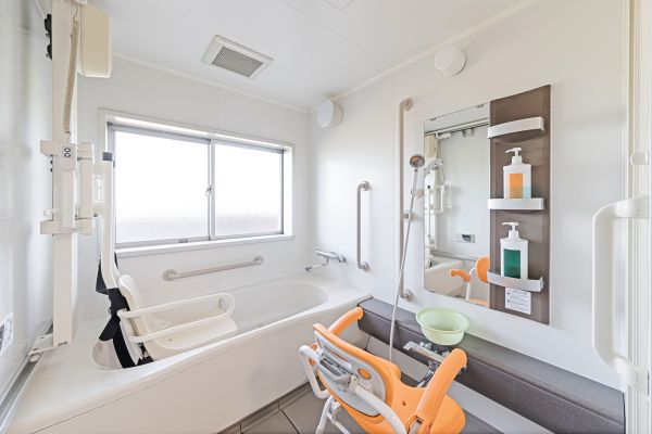 Elderly Bathtub Installation in Merrillville